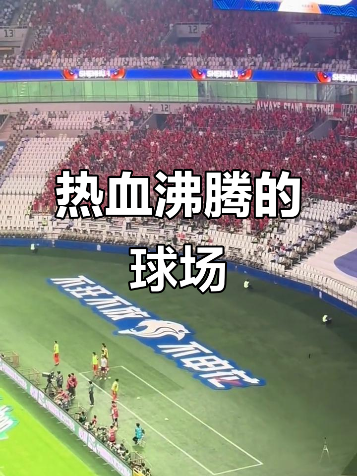 球队主场作战气氛热烈，球迷热情高涨