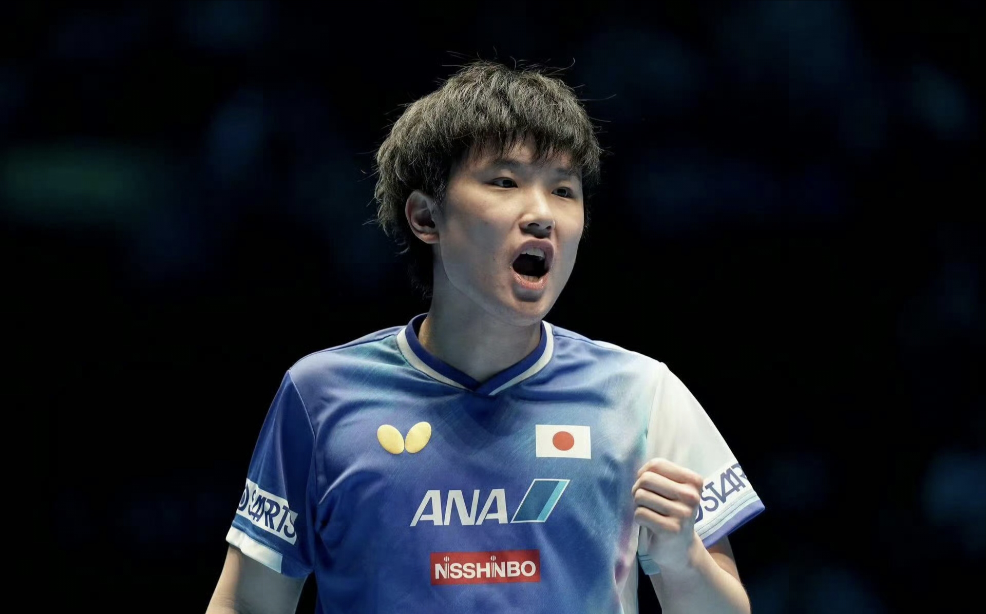 包含比利时乒乓球队绝杀日本乒乓球队,张本智和绝境逆转的词条 包含比利时乒乓球队绝杀日本乒乓球队,张本智和绝境逆转的词条