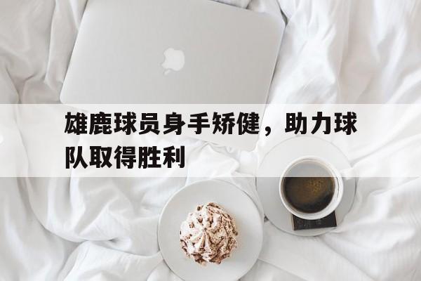 关于雄鹿球员身手矫健,助力球队取得胜利的信息 关于雄鹿球员身手矫健,助力球队取得胜利的信息