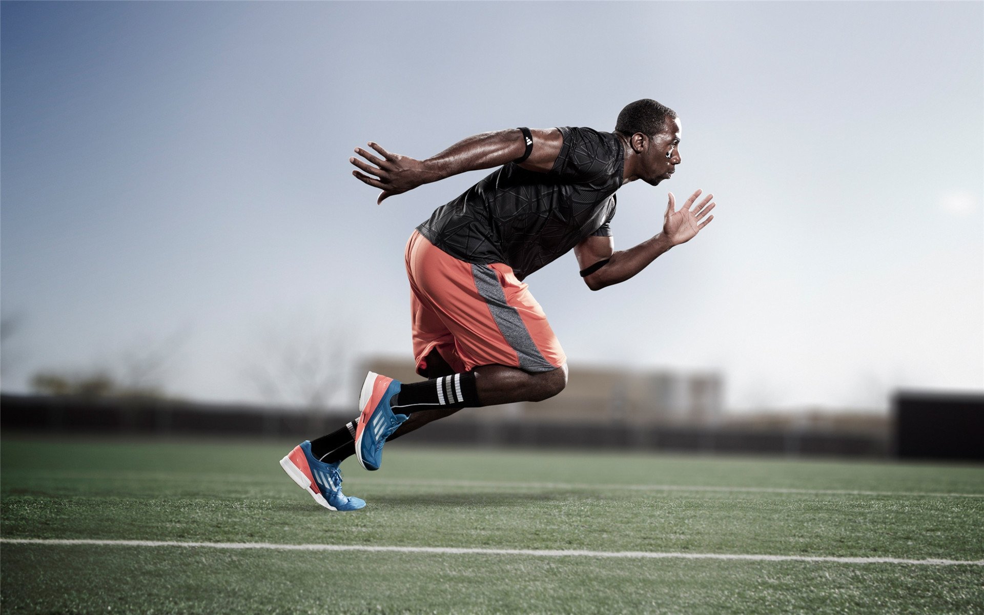 赛道奇迹，哈斯车队力克法拉利，皮亚斯特里刷新单圈纪录